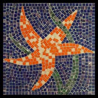 KIT STAR FISH 12"x12"