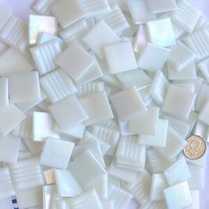 VITREOUS 20mm IRIDESCENT ORGANZA WA1