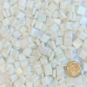 VITREOUS 10mm IRIDESCENT ORGANZA W1