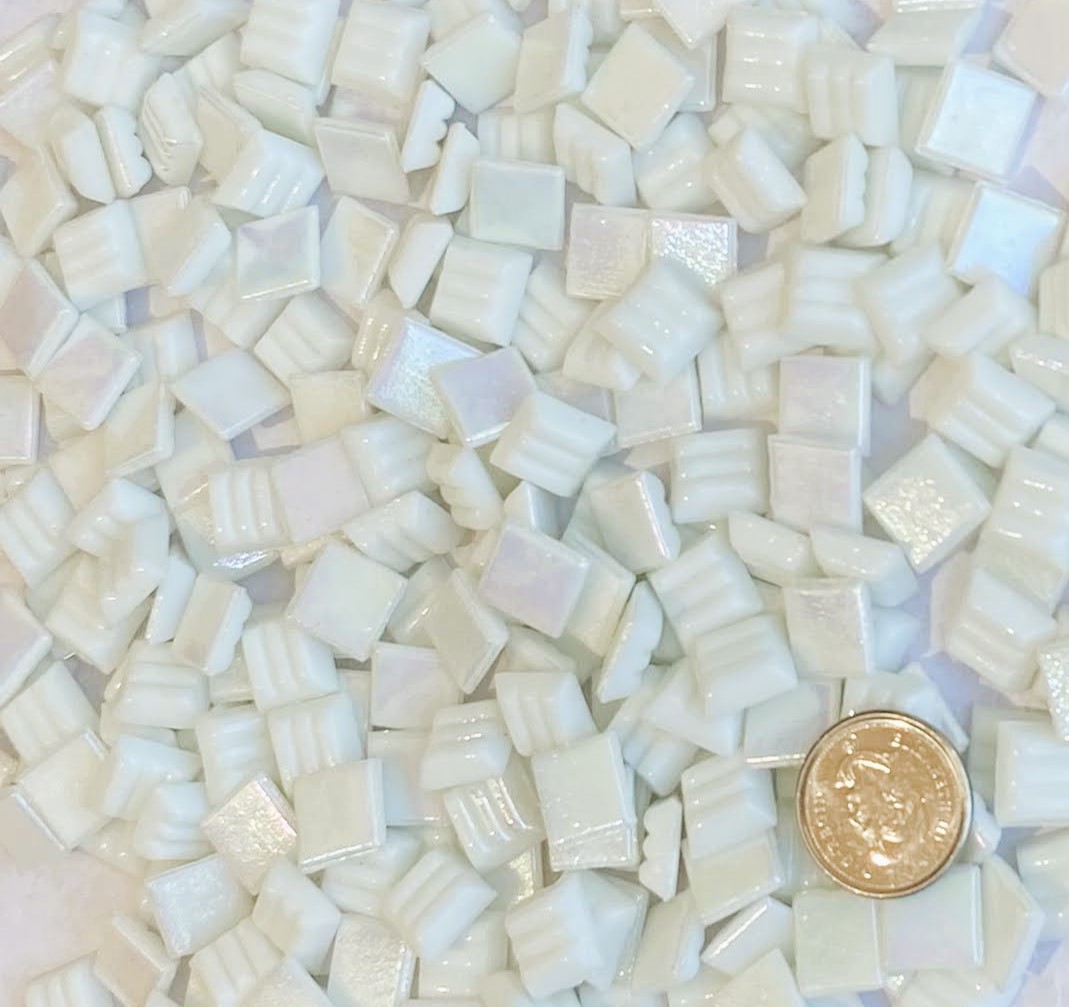 VITREOUS 10mm IRIDESCENT ORGANZA W1