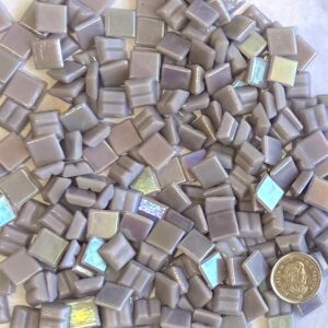 VITREOUS 10mm IRIDESCENT ORGANZA W42