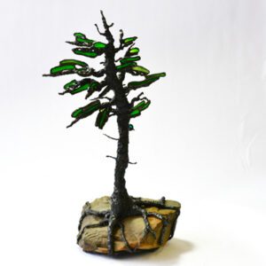 GIFT JACK PINE TREE