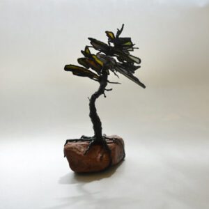 GIFT TWISTED PINE TREE