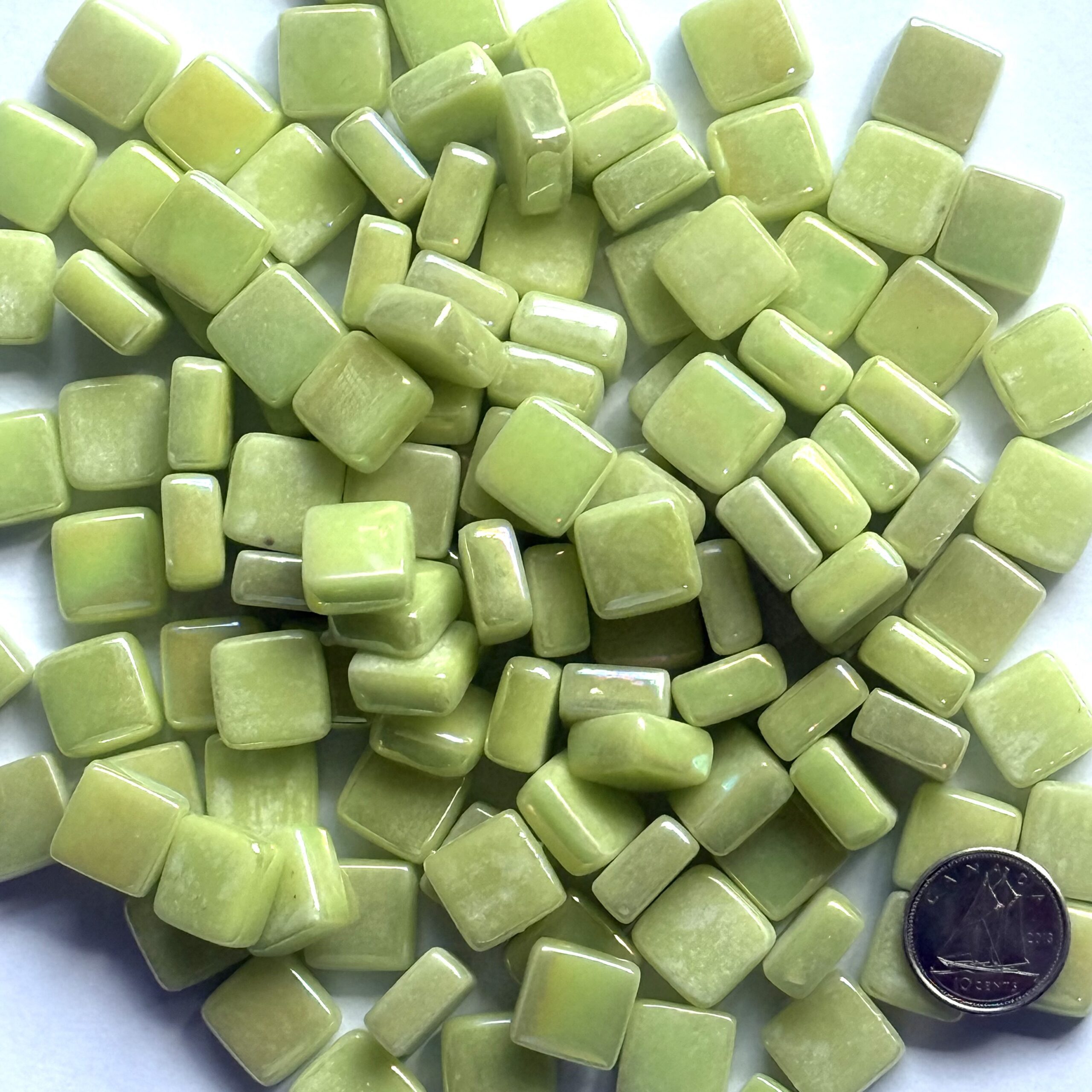 Opus Romano 12mm IRID HBL48